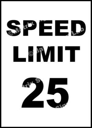 Speed Limit 25 KMPH Sign